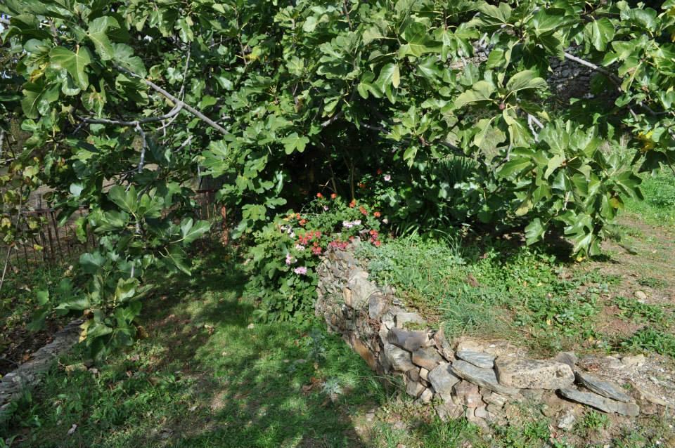 Mattale Villa Tonara Exterior photo